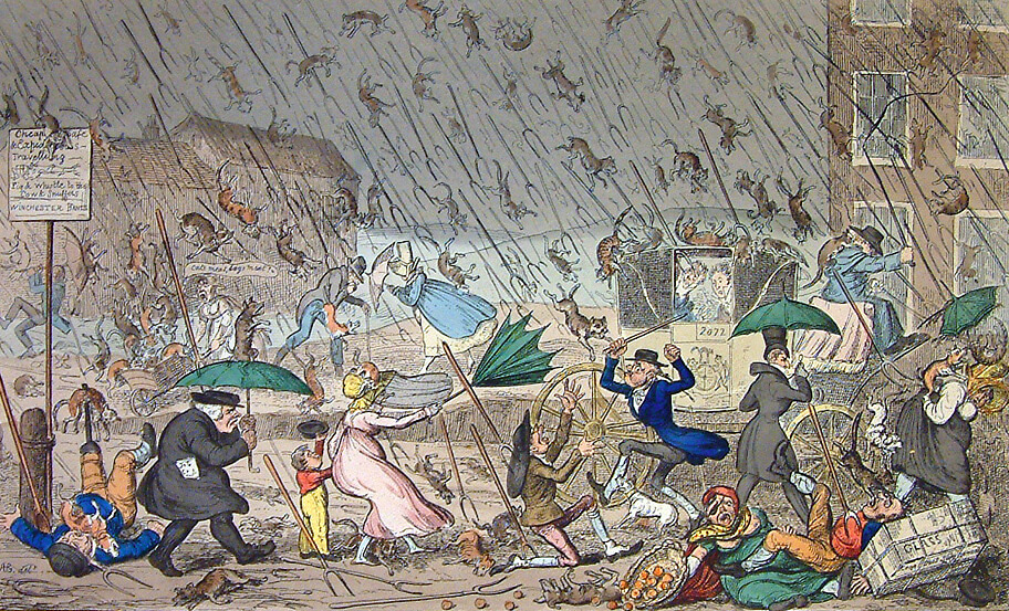 IT’S RAINING CATS AND DOGS… Why turning to a professional translator may be a wise idea!